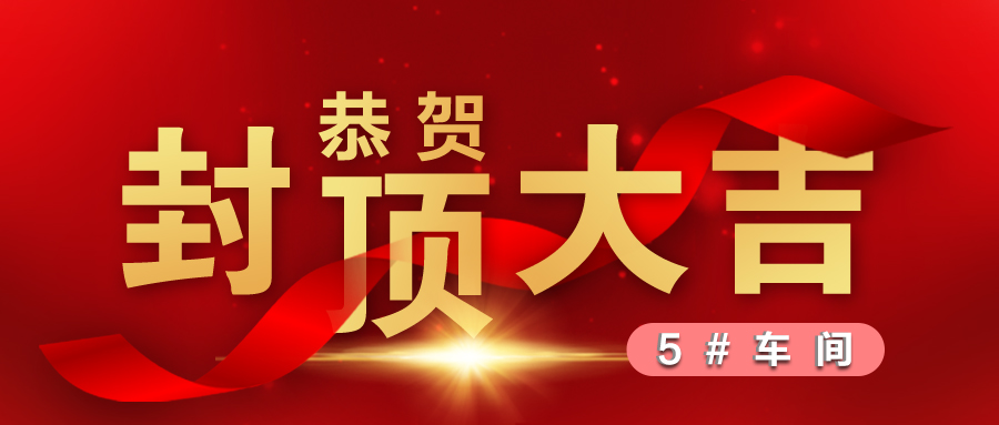 热烈祝贺5#车间封顶大吉！